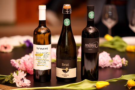 VinaZupanovVipavskeDoline2024_20_03_2024_FotoAnaRojc-04