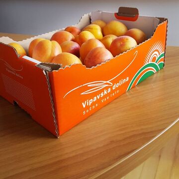 Embalaža_Vipavska dolina_Sočna._Vse leto.