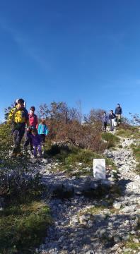 50-314820573_566710635456243_5399878093309528125_n