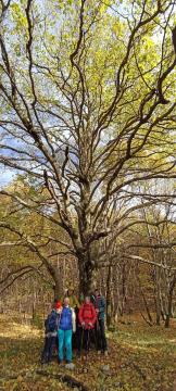 54-316412529_580809854046321_8888241029840703673_n