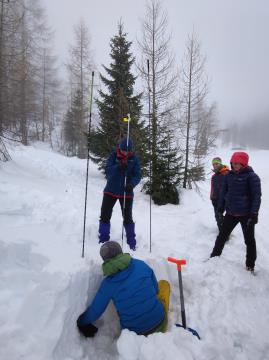 331293255_693428659133436_998440497571762308_n