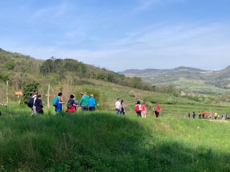 Pohod med vinogradi in slapovi