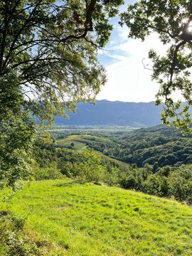 ebc8beee-5fb4-4540-8d30-c11368dd6a5d